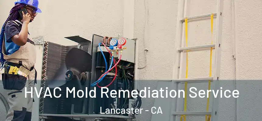  HVAC Mold Remediation Service Lancaster - CA