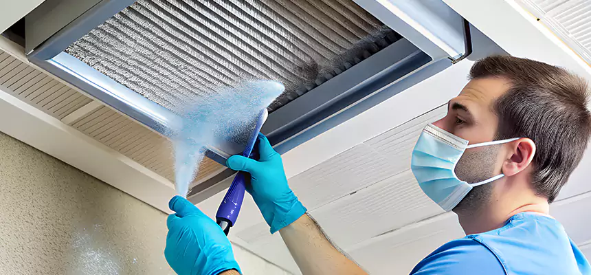 Proactive Dryer Vent & Auxiliary Duct Pollen Cleanup in Lancaster, CA