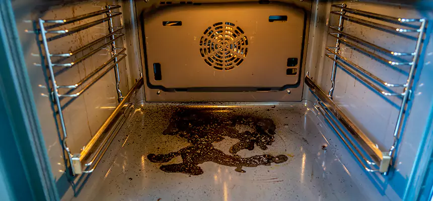 Our Dryer Vent Mold Cleaning Services in Lancaster, CA