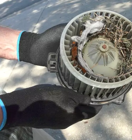 About Air Duct Mice Removal in Lancaster, CA