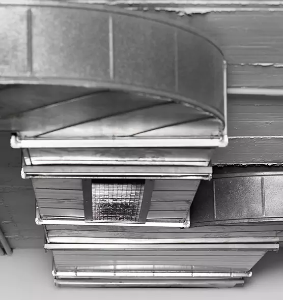 Professional Air Duct Pest Removal in Lancaster, CA