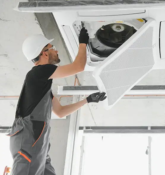 About Air Duct Rodent Removal in Lancaster, CA