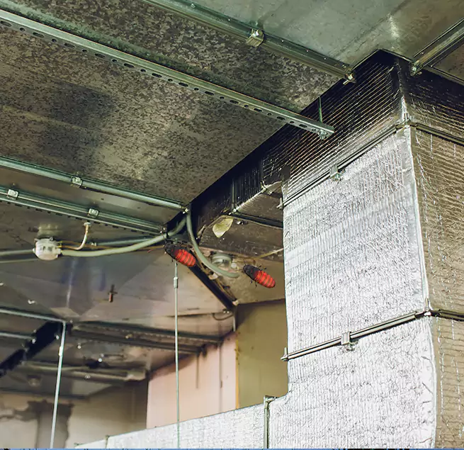 Why Homeowners & Businesses Trust Us in Lancaster, CA?