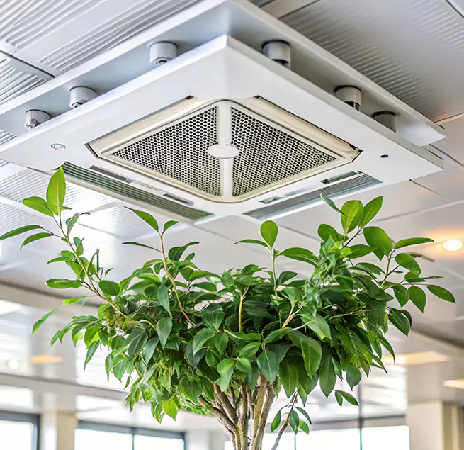 Why Homeowners & Businesses Trust Us in Lancaster, CA?